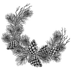 Forest pine branches and cones demi wreath. Black and white and drawn vector illustration.