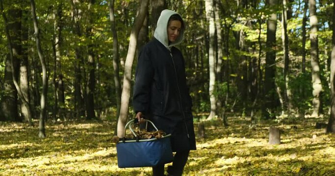 Picking mushrooms. Happy Female with mushrooms in busket hunting mushroom. girl mushroom picker in a blue raincoat with a basket of mushrooms walks through the forest, a fallen tree, autumn leaves
