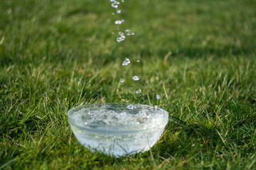 Naklejka na ściany i meble glass of water