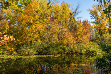 Trees painted in autumn colors are reflected in the waters of the river. Nice autumn weather.