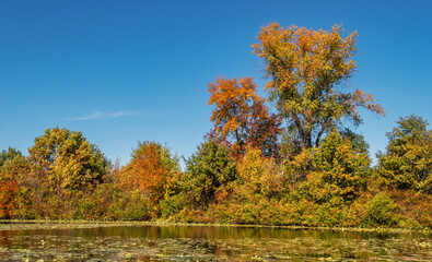 Trees painted in autumn colors are reflected in the waters of the river. Nice autumn weather.