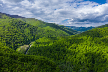 Fototapeta na wymiar Carpathian mountains covered with beautiful green trees aerial panorama view.
