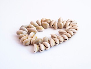 White necklace made of seashells isolated on white background