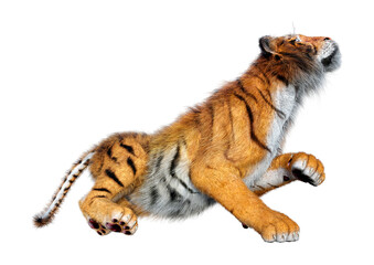 3D Rendering Big Cat Tiger on White