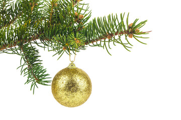 Green tree branch with golden bowl isolated on white background.