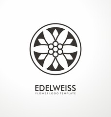 Edelweiss flower simple logo design idea. Minimalist logo or symbol concept with geometric flower shape. Vector icon.