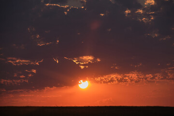 Evening summer sunset, clouds illuminated by the sun pink, skyline