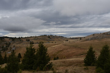 Fototapeta premium Autumn day to meet the rain