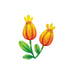 Illustration of a bright watercolor flower on a white background. Decorative botanical illustration in cartoon style