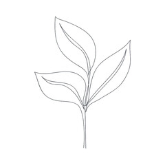 Abstract ficus branch drawn one line. Floral sketch. Continuous line drawing tropical plant. Vector illustration in minimal style.