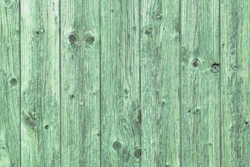 Naklejka premium Wooden background with green colored planks