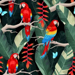 Fototapete Papagei Vektornahtloses Muster mit Ara und Bäumen