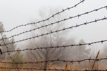 Close-up of the barbed wire fence in fog
