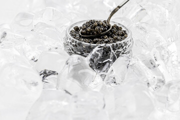 Glass can with natural black caviar with a silver spoon in ice cubes. Luxury food concept.