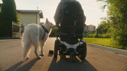 Handheld shot of service dog assisting a Caucasian disabled man in a walk on a sunny day.