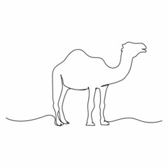 Vector abstract continuous one single simple line drawing icon of camel animal concept in silhouette sketch.