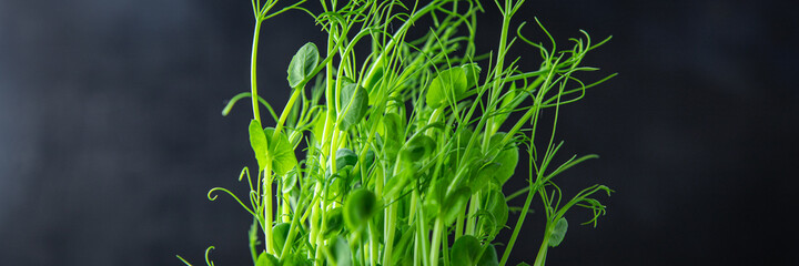 microgreen green peas seedlings meal snack copy space food background rustic