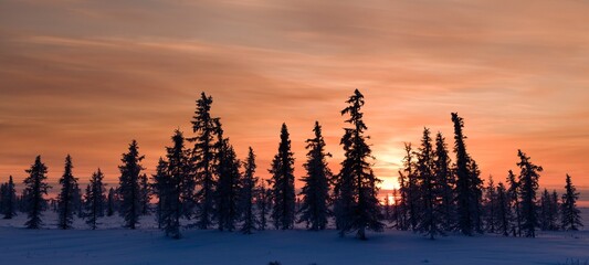 beautiful winter northern sunset	