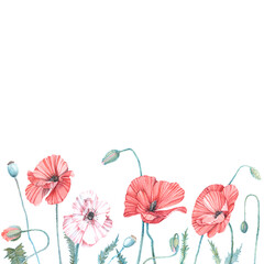 seamless frame of watercolor stylized images of red and white poppies