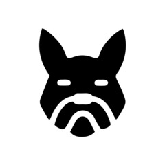 Katze