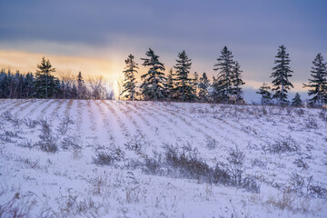 The sun setting over a snow covered field.