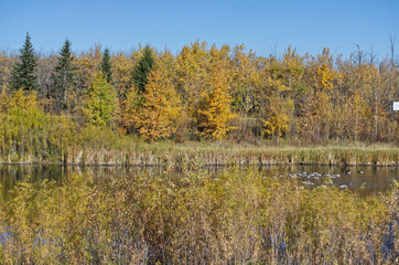Pylypow Wetlands on an Autumn Day