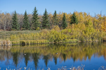 Fototapeta na wymiar Pylypow Wetlands on an Autumn Day