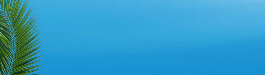 Palm leaves against the sky. Selective focus.