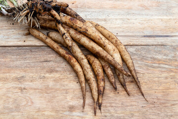 Maral Root (Rhaponticum Carthamoides)The roots of this plant have been used by Russian athletes for...