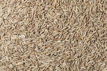 Pile of cumin seeds as background. Top view