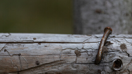 tree log with crooked nail. Part of some wooden construction 