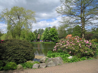 Blühende Büsche am Teich