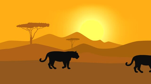 Savanna landscape and walking black jaguars in (animation with silhouettes, seamless loop)