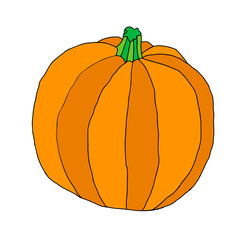 Beautiful bright orange pumpkin for holiday halloween isolated on a white background