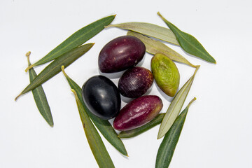 Aceitunas maduras con hojas de olivo