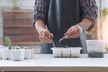 male hands preparing pots for planting cactus