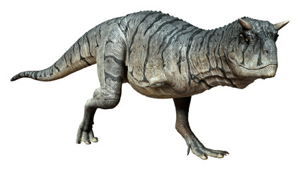 3D Rendering Carnotaurus Sastrei Dinosur on White