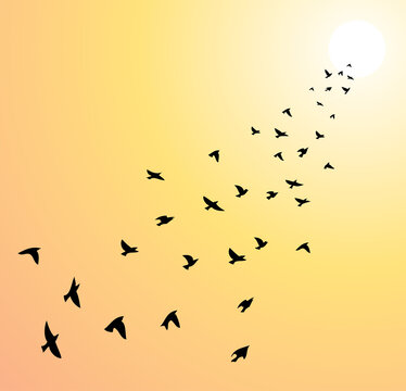 vector flock of flying birds towards bright sun