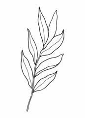 Abstract twig with leaves isolated on a white background. Vector hand-drawn illustration in outline style. Perfect for cards, logo, decorations, invitations.