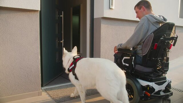 Handheld shot of a service dog assisting a Caucasian disabled man in a wheelchair to perform everyday tasks. The service dog closing a home door.