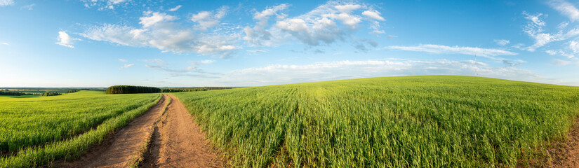 Fototapeta na wymiar Panorama of a green field and sky. Sunny summer landscape of a European village