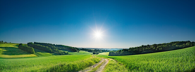 Green field and clear blue sky sun panorama - 472279505