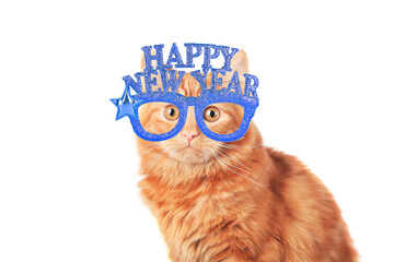  Ginger cat celebrating New Year's Eve wearing party glasses hat. Happy New Year banner