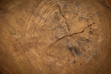 surface Wood texture background, old wood texture pattern