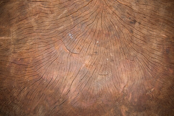 Naklejka premium surface Wood texture background, old wood texture pattern