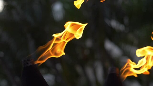 Slow Torch Polinesian Images – Browse 247 Stock Photos, Vectors, and Video | Adobe ...