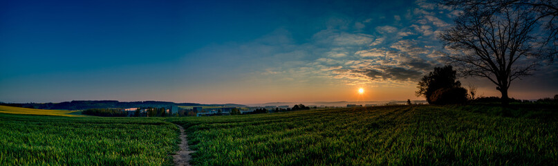 Panorama of the field at dawn