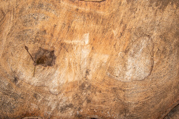surface Wood texture background, old wood texture pattern