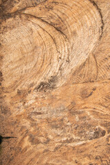 surface Wood texture background, old wood texture pattern