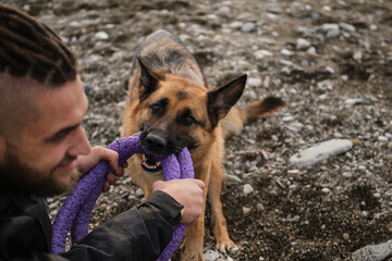 Dog holds two blue toy rings in teeth and does not want to give them away. Fight in playful way...